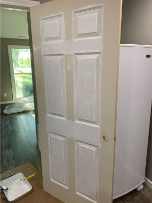 paint the horizontal sections of the interior 6-panel door