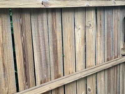 should you stain seal wood fence after pressure washing - enrich wood grain