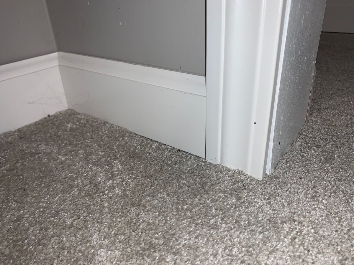 Should You Install Carpet Or Trim First? (Order Of Operations) – DIY ...